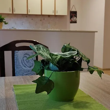 Apartment Stella *