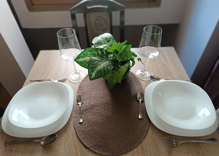 Stella * بلغراد